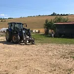 Apartamento Na Farme Na Hodosi Cierny Potok