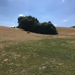 Apartamento Na Farme Na Hodosi Cierny Potok