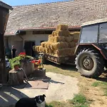 Na Farme Na Hodosi *