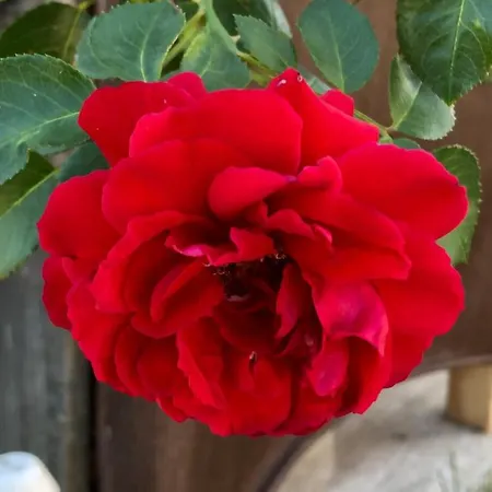 דירה Na Farme Na Hodosi *