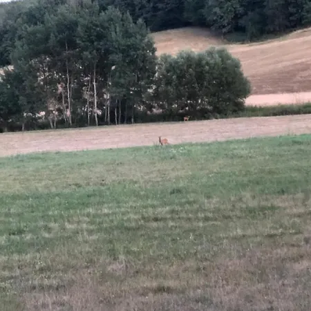 Na Farme Na Hodosi Apartmán *