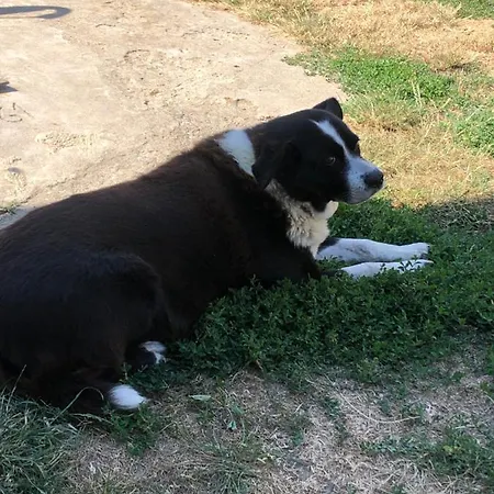 Na Farme Na Hodosi * Cierny Potok