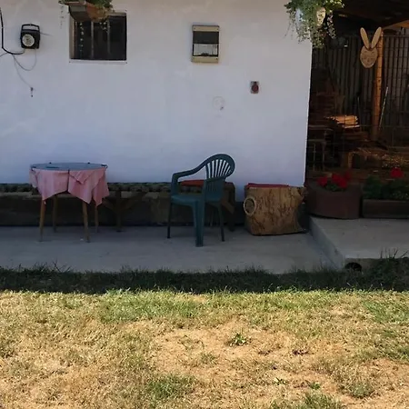 Na Farme Na Hodosi *