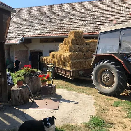 Na Farme Na Hodosi *